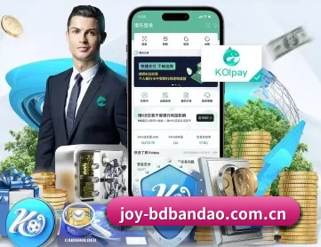 joy-bdbandao.com.cn APP 深度功能