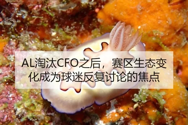 AL淘汰CFO之后，赛区生态变化成为球迷反复讨论的焦点